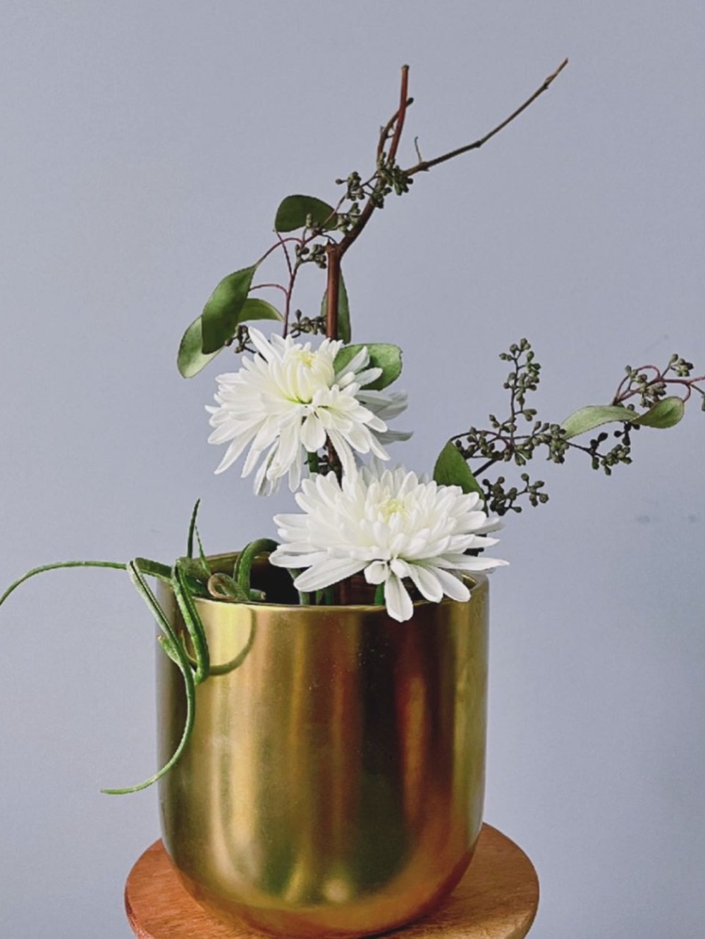 ✨Gold Metallic Planter